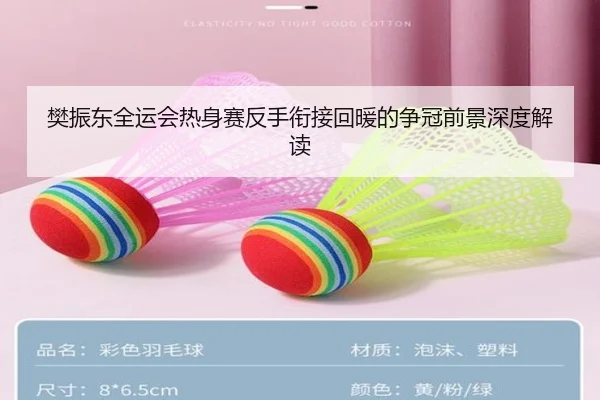 樊振东全运会热身赛反手衔接回暖的争冠前景深度解读